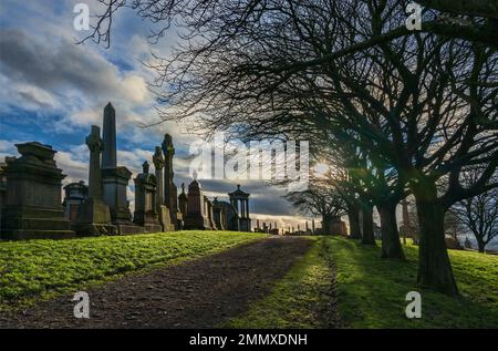 Von Bäumen gesäumter Pfad durch Glasgow Necropolis, Victorian Cemetery, Glasgow, Schottland, Großbritannien Stockfoto