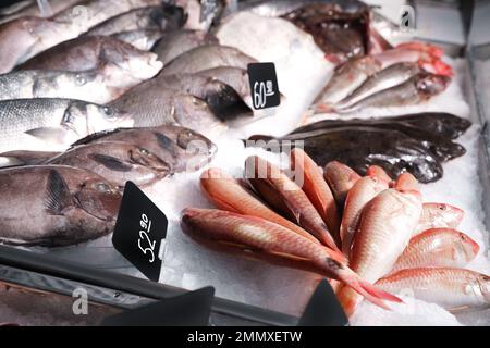 Verschiedene Arten von frischem Fisch auf Eis im Supermarkt Stockfoto