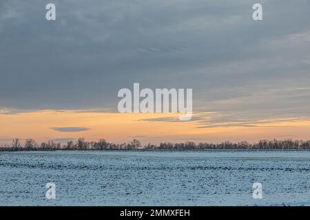 Natürlicher Sonnenaufgang bei Sonnenuntergang über dem Feld oder der Wiese. Die Farbe des Himmels über dem Winterschneestand. Landschaft unter einem malerischen Himmel bei Sonnenuntergang. Die Morgendämmerung von t Stockfoto