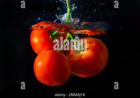Frische rote Tomate, die ins Wasser fällt, mit Wasserspritzer und Luftblasen auf schwarzem Hintergrund. Stockfoto