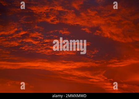Herrlicher Hintergrund für Sonnenaufgang im Sommer. Wunderschöner, glitzernder Sonnenuntergang. Stockfoto