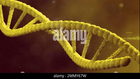 Bild einer Nahaufnahme des makrogelben dna-Strangs Stockfoto