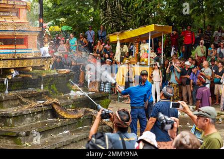 Einäscherungszeremonie für ein Mitglied der Familie Korolev auf der Insel Bali. Arbeiter, die den Altar nach der Einäscherung löschen. Bali, Indonesien - 03,02. Stockfoto