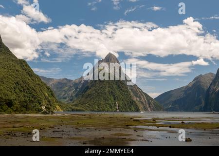 Sonnenschein am Mitre Peak bei Ebbe am Milford Sound in Fiordland auf der Südinsel Neuseelands Stockfoto