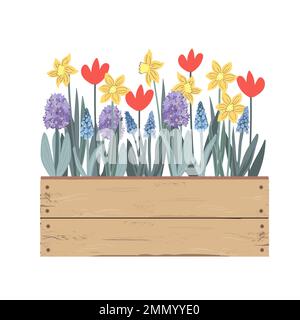 Alte Holzkiste mit Frühlingsblumen. Tulpen, Hyazinthen, Muscari, Narzissen. Von Hand gezeichnete Vektordarstellung des Doodle, isoliert auf Weiß. Sommergarten Stock Vektor