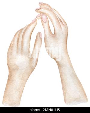 Aquarelle Hände, handgezeichnetes Körperelement. Handabbildung. Stockfoto