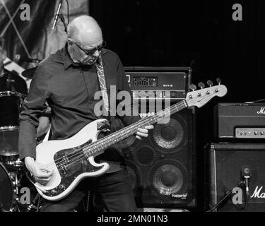 Steve Hanley. Brix & The Extricated im Colchester Arts Centre, Essex. 18. November 2018 Stockfoto