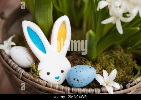 Osterhasen-Lebkuchen-Keks, der auf dem Hyazinthblütentopf liegt. Kaninchenohren sind gelb-blau als ukrainische Flagge gefärbt. Weiße und blaue Ostereier. Weiße Blumen schließen sich. Hochwertiges Foto Stockfoto