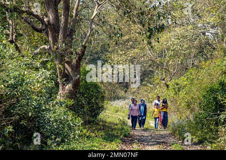 Nepal, Provinz Terai, Chitwan-Nationalpark Stockfoto