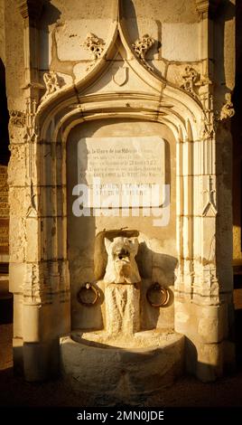 Frankreich, Pyrenäen Atlantiques, Bearn, Salies de Bearn, Blick auf den Steinschweinbrunnen am Ende des Nachmittags im historischen Stadtzentrum des Dorfes Salies Stockfoto