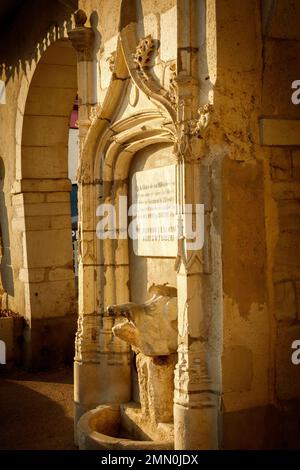 Frankreich, Pyrenäen Atlantiques, Bearn, Salies de Bearn, Blick auf den Steinschweinbrunnen am Ende des Nachmittags im historischen Stadtzentrum des Dorfes Salies Stockfoto