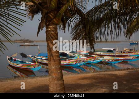 Senegal, Saloum Delta, das von der UNESCO zum Weltkulturerbe erklärt wurde, mehrfarbige Kanus, die am Ndangane Pier zwischen einer Reihe von Palmen und dem Fluss festgemacht sind Stockfoto