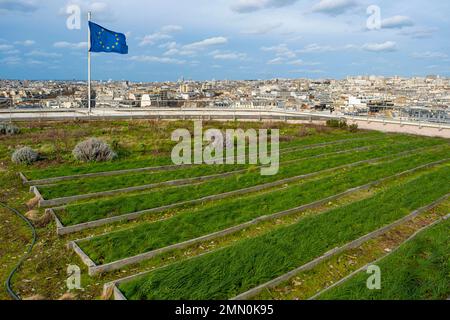 Frankreich, Paris, Terrasse der Bastille Oper, Safranplantage Stockfoto