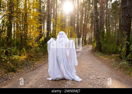 Ein Kind in Laken mit Ausschnitt für die Augen wie ein Geisterkostüm in einem Herbstwald erschreckt und erschreckt. Ein netter kleiner, lustiger Geist. Halloween-Party Stockfoto