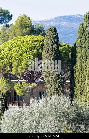 Frankreich, Alpes Maritimes, Mougins, die Mas Notre-Dame de Vie, bekannt als die Höhle des Minotaurus, in unmittelbarer Nähe der Kapelle Notre-Dame de Vie, der letzten Heimat von Pablo Picasso, wo er im Alter von 91 Jahren starb, am 8. April 1973 Stockfoto