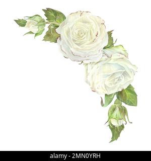 Uber die semikirkuläre Zusammensetzung von weissen Rosen und Knospen mit Blättern. Aquarelldarstellung. Isoliert auf weißem Hintergrund. Für die Gestaltung von Geschirr, Begrüßung Stockfoto