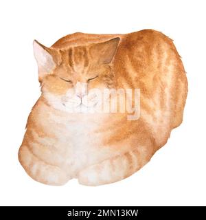 Aquarelldarstellung einer süßen schlafenden roten Tabby-Katze isoliert auf weißem Hintergrund. Stockfoto