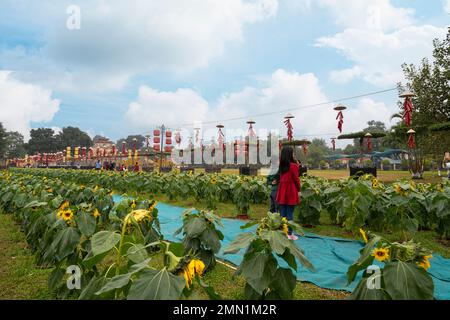 Hanoi, Vietnam, Januar 2023. Thăng lange kaiserliche Zitadelle, Panoramablick auf die Innengärten Stockfoto