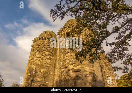 Planmäßiges Denkmal Looking up at the Ruined Towers of Nunney Castle Wiltshire. Stockfoto