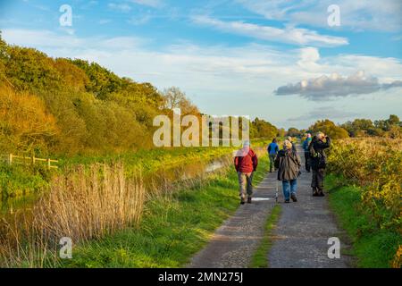 Menschen, die auf dem Fußweg des südlichen Abflussflusses in der Nähe der Ham-Mauer laufen. In den Sumpflandschaften von Somerset. Stockfoto