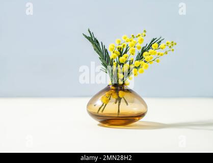 Ein Strauß gelber Mimosablüten steht in einer Glasvase auf gelbem blauem Hintergrund. Konzept vom 8. März, fröhlicher Frauentag. Vorderansicht und Copy Spa Stockfoto