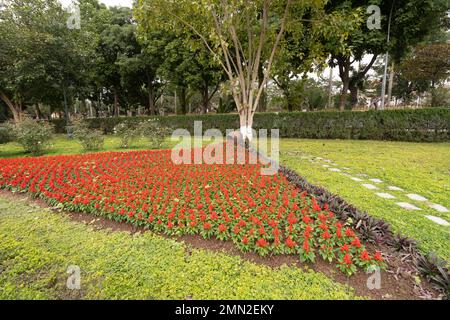 Hanoi, Vietnam, Januar 2023. Thăng lange kaiserliche Zitadelle, Panoramablick auf die Innengärten Stockfoto