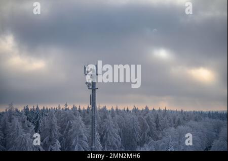 In einem Winterwald steht ein mit Frost oder Heiserfrost bedeckter Funkturm Stockfoto