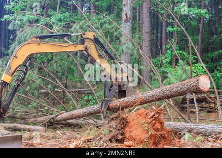 Um Land für den Wohnungsbau vorzubereiten, werden durch die Auswurfbehandlung von Bäumen mit dem Traktormanipulator Stämme angehoben Stockfoto