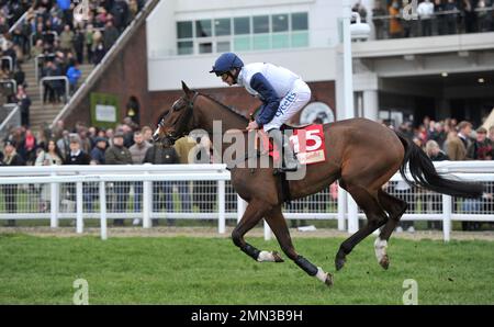 Rennen Drei. Die Glenfarclas Cross Country Chase. Crealion reitet von Charlie Deutsch auf dem Weg zum Start. Pferderennen bei Cheltenham Racecours Stockfoto