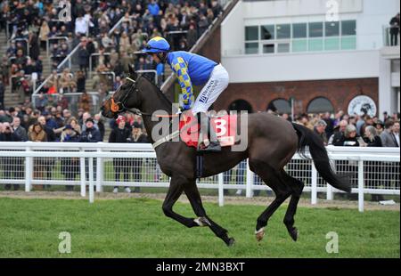 Rennen Drei. Die Glenfarclas Cross Country Chase. ROI Mage, gefahren von Patrick Mullins auf dem Weg zum Start. Pferderennen bei Cheltenham Racecours Stockfoto