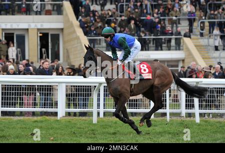 Rennen Drei. Die Glenfarclas Cross Country Chase. Plan des Angriffs von Darragh O'Keeffe auf dem Weg zum Start. Pferderennen in Cheltenham Ra Stockfoto