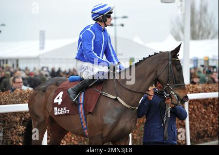 Viertes Rennen: Albert Bartlett Clarence House Chase. Energumene, geritten von Paul Townend, geht zum Anfang. Pferderennen in Cheltenham Stockfoto