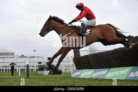 Viertes Rennen: Albert Bartlett Clarence House Chase. Rennsieger Editeur Du Gite, geritten von Niall Houlihan, springt das letzte Pferderennen in Chelten Stockfoto