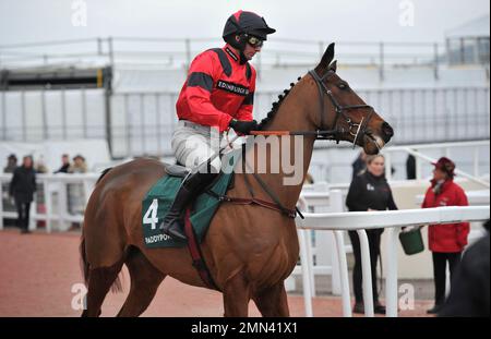 Rennen sechs. Die Paddy Power Cotswold Chase. Ahoy Senor, geritten von Derek Fox, macht sich auf den Weg zum Anfang. Pferderennen auf der Rennbahn Cheltenham, Pre Stockfoto