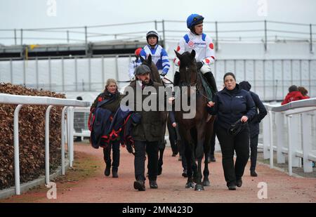 Rennen sechs. Die Paddy Power Cotswold Chase. Protektorat geritten von Harry Skelton vor Frodon geritten von Bryony Frost, auf dem Weg zum Start. Stockfoto