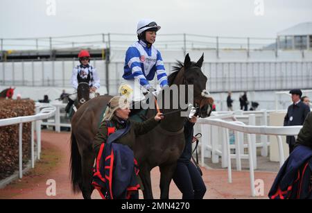 Rennen sechs. Die Paddy Power Cotswold Chase. Frodon, geritten von Bryony Frost, macht sich auf den Weg zum Anfang. Pferderennen auf der Rennbahn Cheltenham, Prest Stockfoto