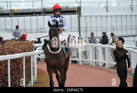 Rennen sechs. Die Paddy Power Cotswold Chase. Dusart reitet von James Bowen und macht sich auf den Weg zum Start. Pferderennen auf der Rennbahn Cheltenham, Prestb Stockfoto