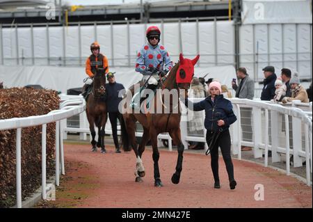 Rennen sechs. Die Paddy Power Cotswold Chase. Klingt russisch geritten von Sean Quinlan, mit Noble Yeats geritten von Sean Bowen dahinter auf dem Weg zum s Stockfoto