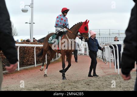 Rennen sechs. Die Paddy Power Cotswold Chase. Klingt russisch, von Sean Quinlan geritten, auf dem Weg zum Anfang. Pferderennen bei Cheltenham Racecours Stockfoto