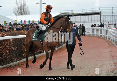 Rennen sechs. Die Paddy Power Cotswold Chase. Die edlen Yeats, die von Sean Bowen geritten wurden, machen sich auf den Weg zum Anfang. Pferderennen auf der Rennbahn Cheltenham, PR Stockfoto