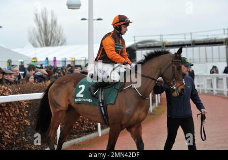 Rennen sechs. Die Paddy Power Cotswold Chase. Die edlen Yeats, die von Sean Bowen geritten wurden, machen sich auf den Weg zum Anfang. Pferderennen auf der Rennbahn Cheltenham, PR Stockfoto