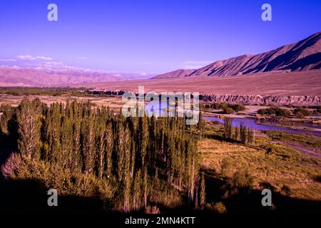 Landschaft vom Diskit Kloster. Diskit Gompa ist das älteste und größte buddhistische Kloster im Nubra-Tal von Ladakh, Indien. Stockfoto