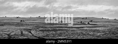 Verlassene Häuser auf Stroma Island Stockfoto