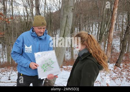 30. Januar 2023, Thüringen, Jena: Silvester Tamàs (l) von der Naturschutzunion Thüringen zeigt Franziska Hermsdorf von der Nationalen Stiftung für Naturerbe eine Karte der Luchssiedlungen in Deutschland im Dorlwald bei Jena. Dieses Stück Wald wurde von der Nature Conservation Union als dritter Luchswald ausgewiesen. In Zukunft sollte Luchs sich hier niederlassen können. Foto: Bodo Schackow/dpa Stockfoto