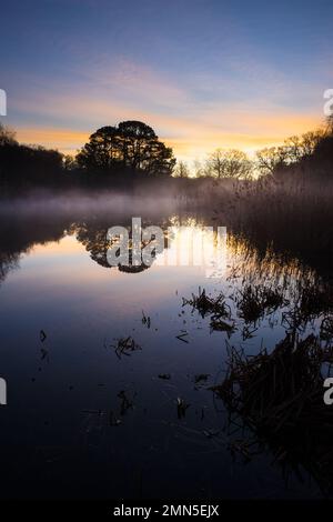 Nebiger Sonnenaufgang über dem Ornamental Lake am Southampton Common im Winter Stockfoto