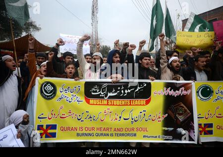 Peshawar, Pakistan. 29. Januar 2023. Anhänger der Moslem man's League-Partei halten während eines Protests gegen Schweden am 29. Januar 2023 in Peshawar (Pakistan) in Urdu ein Plakat mit der Aufschrift "Burning of the Koran is the worst type of Terrorism by Sweden". Der pakistanische Ministerpräsident Shahbaz Sharif, mehrere arabische Länder sowie die Türkei verurteilten am 23. Januar die Islamophobie, nachdem der schwedisch-dänische rechtsextreme Politiker Rasmus Paludan bei einer Kundgebung in Stockholm am 21. Januar eine Kopie des Korans verbrannte. (Foto: Hussain Ali/Pacific Press/Sipa USA) Guthaben: SIPA USA/Alamy Live News Stockfoto