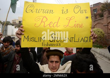 Peshawar, Pakistan. 29. Januar 2023. Anhänger der Moslem man's League-Partei halten während eines Protests gegen Schweden am 29. Januar 2023 in Peshawar (Pakistan) in Urdu ein Plakat mit der Aufschrift "Burning of the Koran is the worst type of Terrorism by Sweden". Der pakistanische Ministerpräsident Shahbaz Sharif, mehrere arabische Länder sowie die Türkei verurteilten am 23. Januar die Islamophobie, nachdem der schwedisch-dänische rechtsextreme Politiker Rasmus Paludan bei einer Kundgebung in Stockholm am 21. Januar eine Kopie des Korans verbrannte. (Foto: Hussain Ali/Pacific Press/Sipa USA) Guthaben: SIPA USA/Alamy Live News Stockfoto