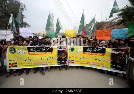 Peshawar, Pakistan. 29. Januar 2023. Anhänger der Moslem man's League-Partei halten während eines Protests gegen Schweden am 29. Januar 2023 in Peshawar (Pakistan) in Urdu ein Plakat mit der Aufschrift "Burning of the Koran is the worst type of Terrorism by Sweden". Der pakistanische Ministerpräsident Shahbaz Sharif, mehrere arabische Länder sowie die Türkei verurteilten am 23. Januar die Islamophobie, nachdem der schwedisch-dänische rechtsextreme Politiker Rasmus Paludan bei einer Kundgebung in Stockholm am 21. Januar eine Kopie des Korans verbrannte. (Foto: Hussain Ali/Pacific Press/Sipa USA) Guthaben: SIPA USA/Alamy Live News Stockfoto