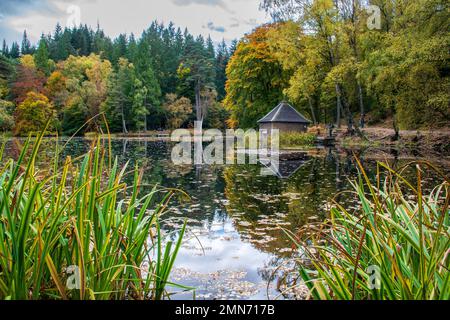 Loch Dunmore, faskally Forest, Pitlochry, Schottland Stockfoto