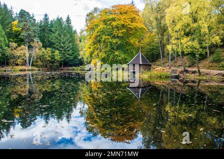 Loch Dunmore, faskally Forest, Pitlochry, Schottland Stockfoto